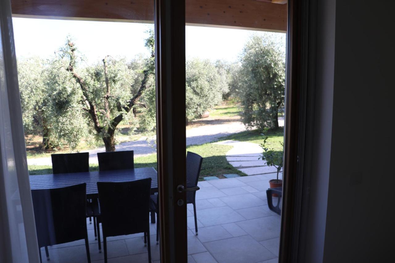 Agriturismo Fioralba 폴페나체 델 가르다 외부 사진