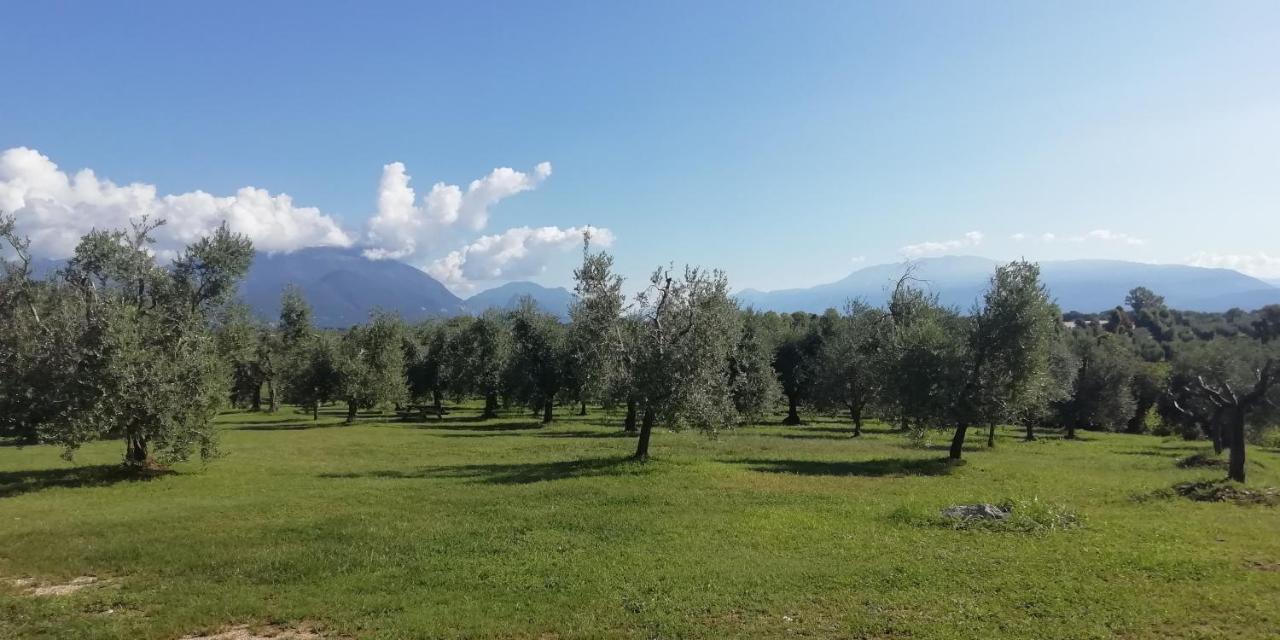 Agriturismo Fioralba 폴페나체 델 가르다 외부 사진