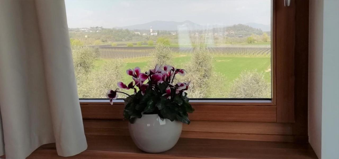 Agriturismo Fioralba 폴페나체 델 가르다 외부 사진