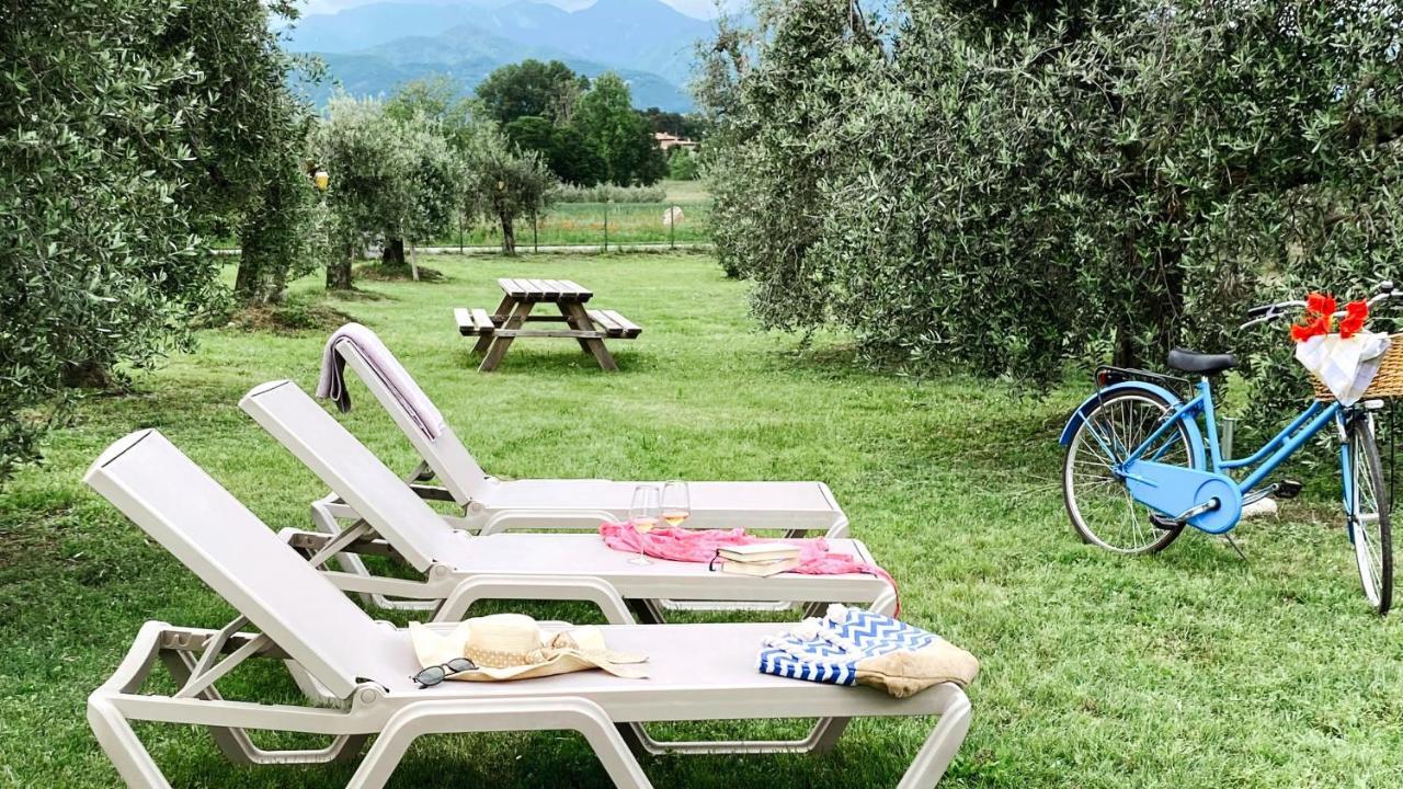 Agriturismo Fioralba 폴페나체 델 가르다 외부 사진