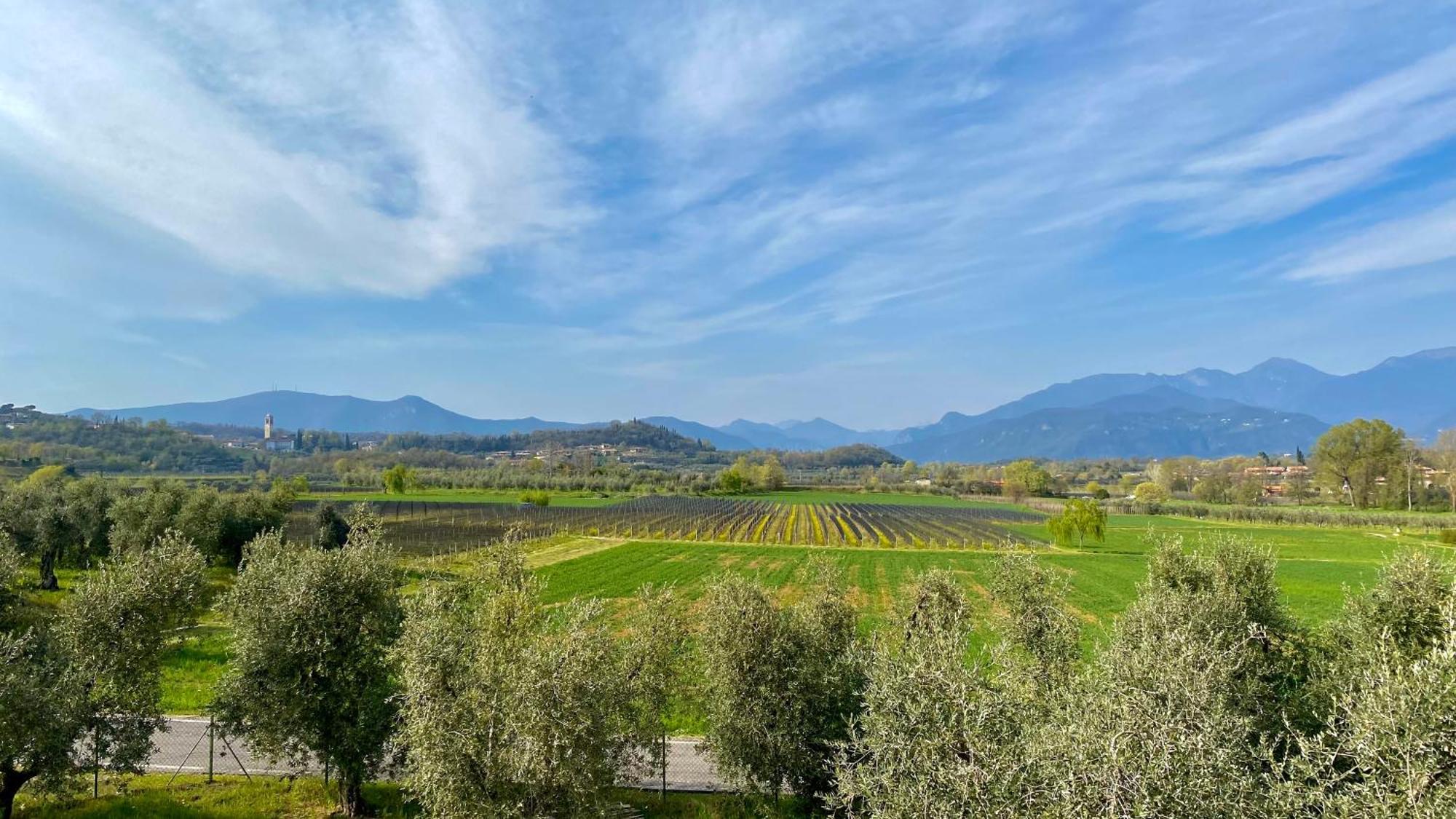 Agriturismo Fioralba 폴페나체 델 가르다 외부 사진