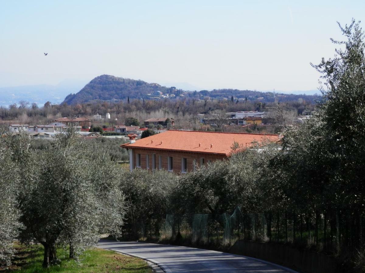 Agriturismo Fioralba 폴페나체 델 가르다 외부 사진