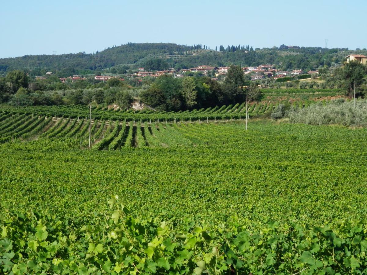 Agriturismo Fioralba 폴페나체 델 가르다 외부 사진