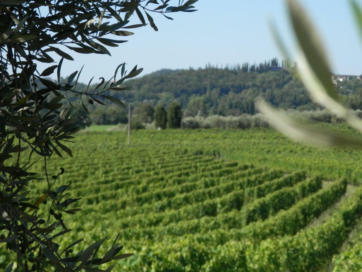 Agriturismo Fioralba 폴페나체 델 가르다 외부 사진