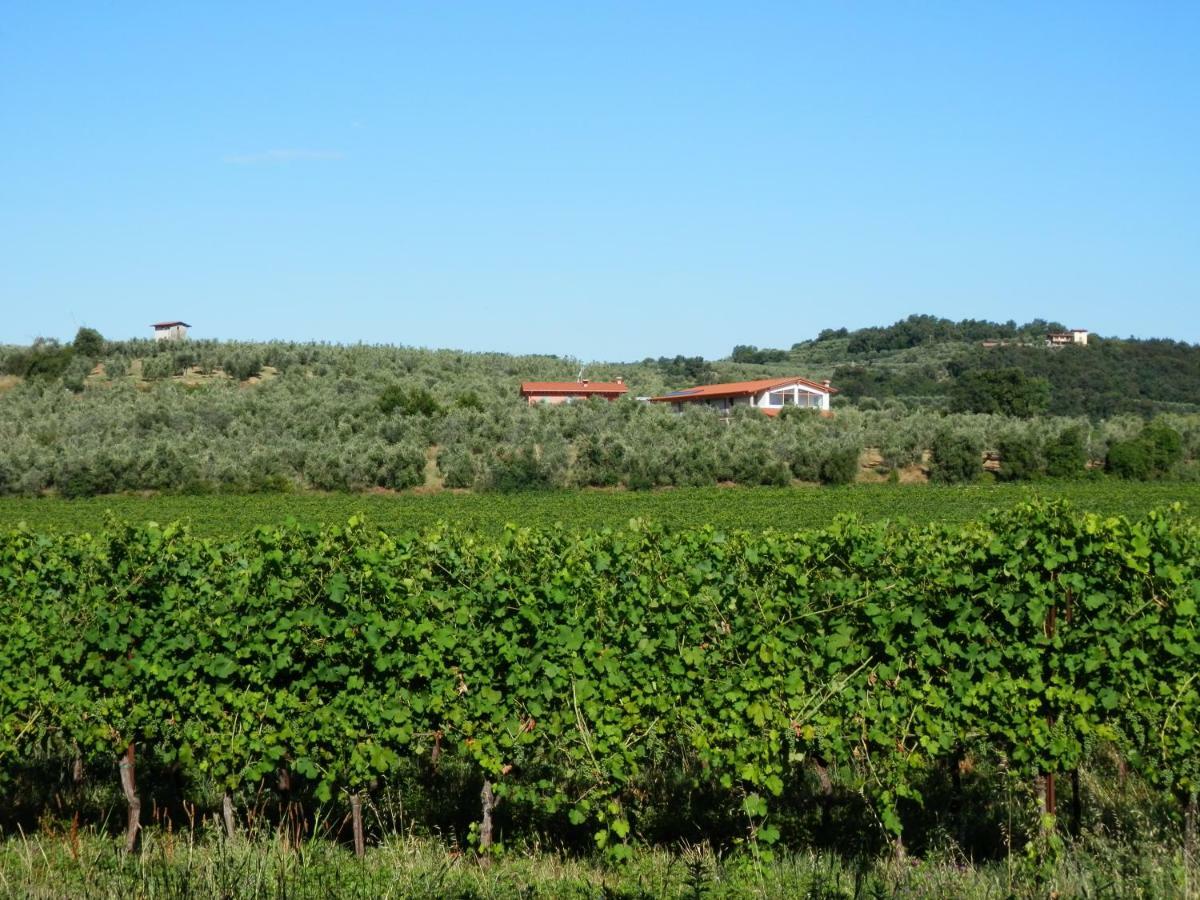 Agriturismo Fioralba 폴페나체 델 가르다 외부 사진