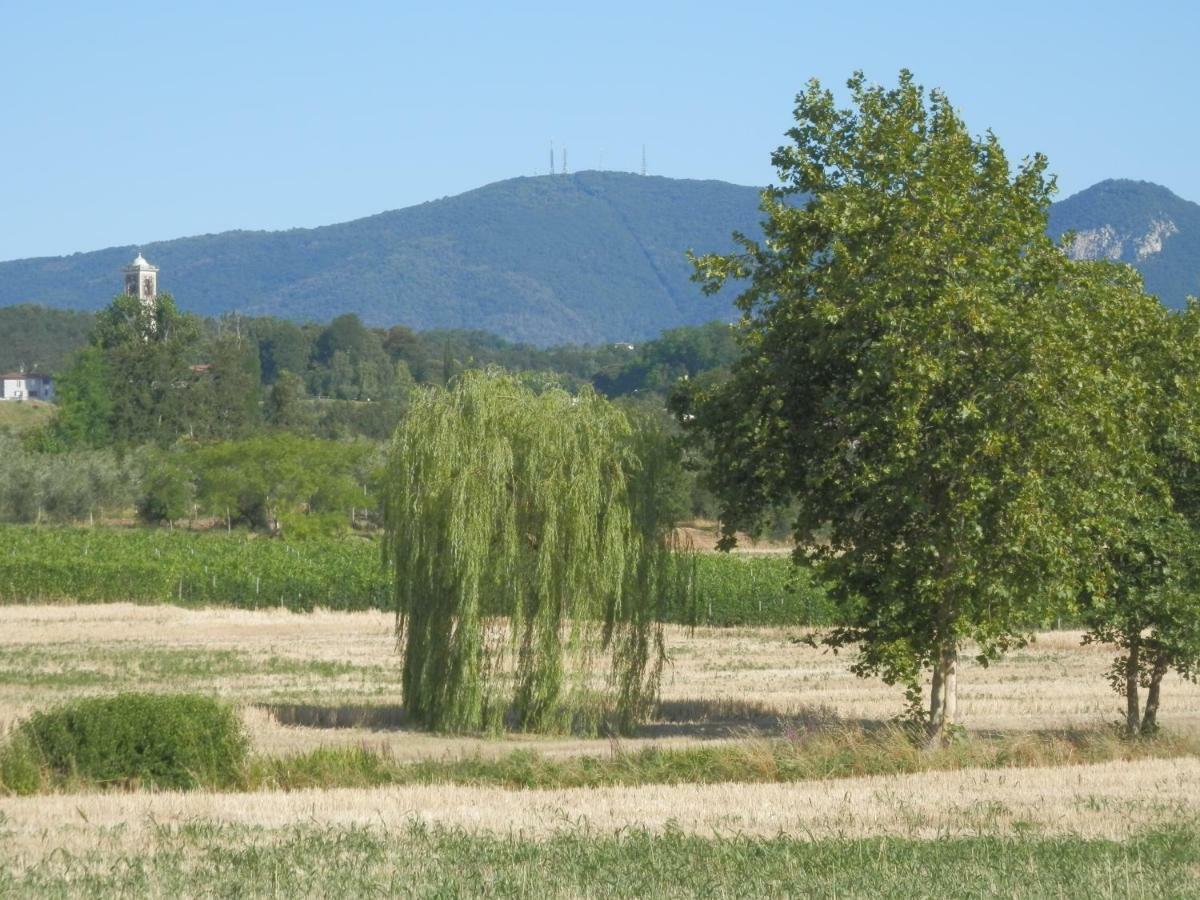 Agriturismo Fioralba 폴페나체 델 가르다 외부 사진